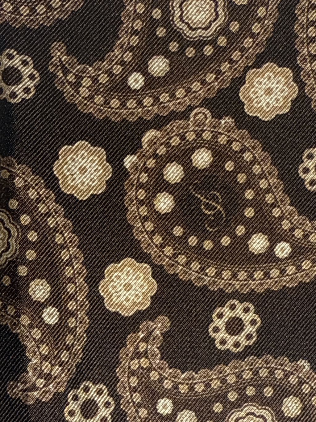 SILK& BANDANA PAISLEY